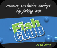 Receive Exclusive Savings By Joining Our Fish Club