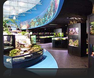 Aquarium Adventure Hoffman Estates, Illinois :: Contact Us